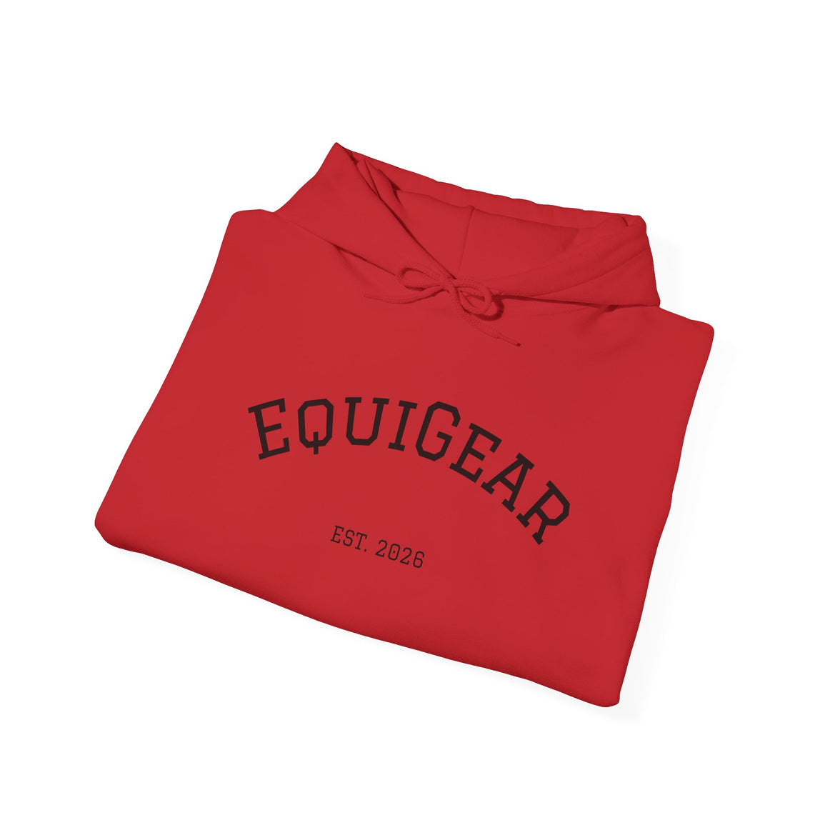 Unisex Heavy Blend Hooded Sweatshirt with pouch pocket and hood