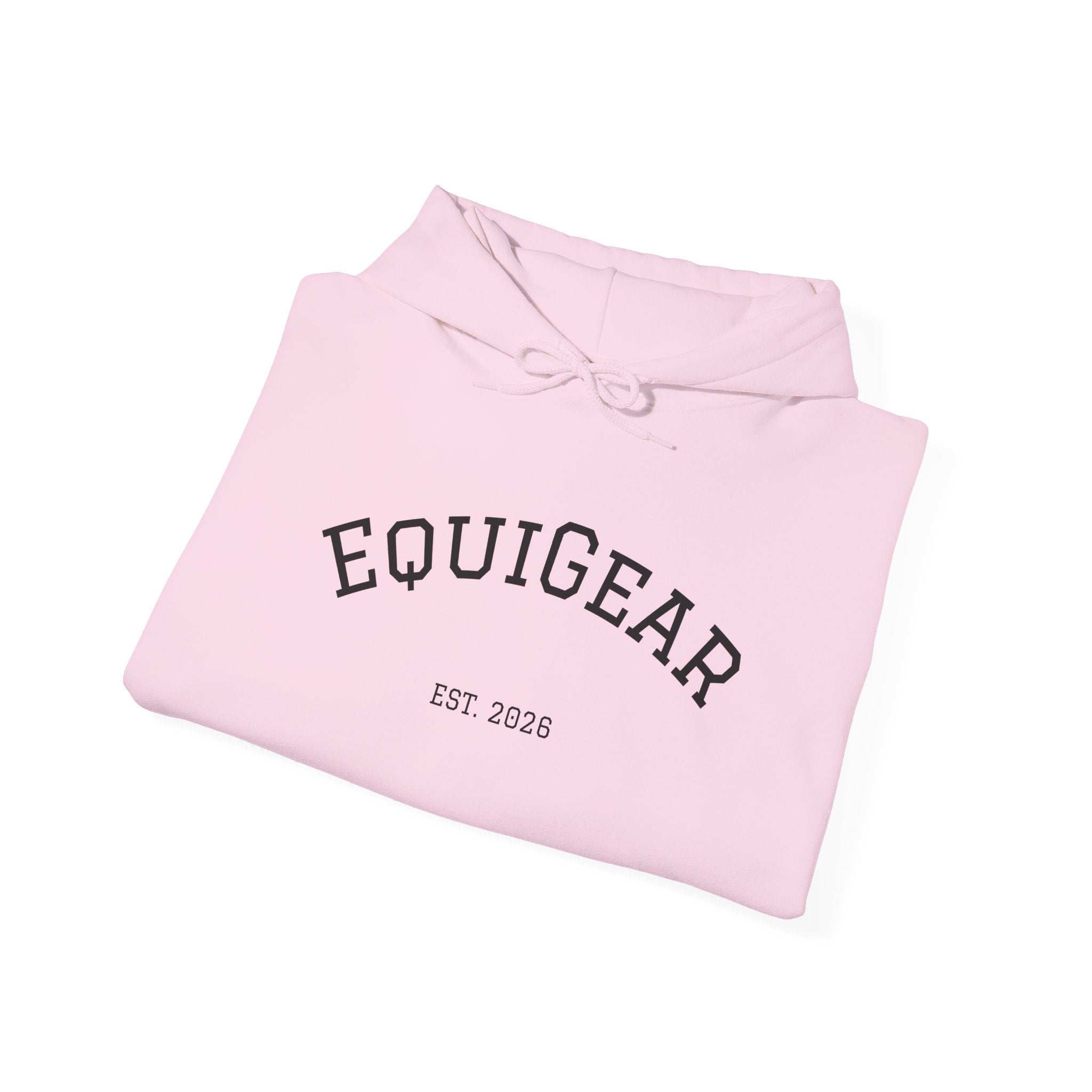 Unisex Heavy Blend Hooded Sweatshirt with pouch pocket and hood