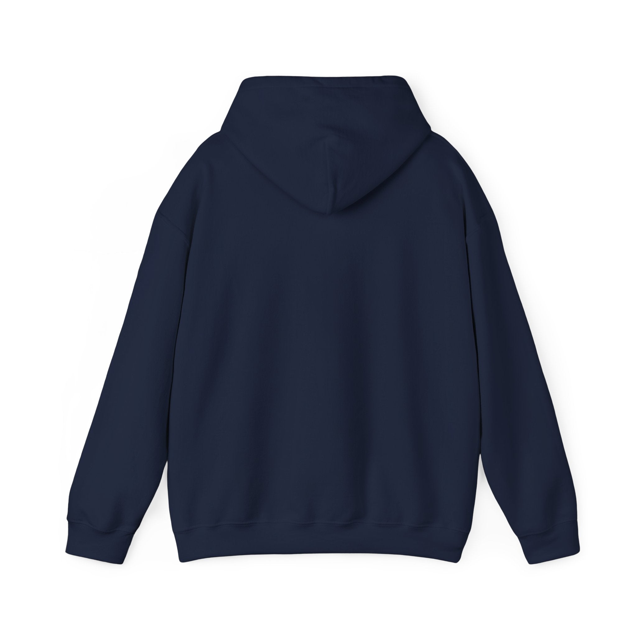Unisex Heavy Blend Hooded Sweatshirt with pouch pocket and hood