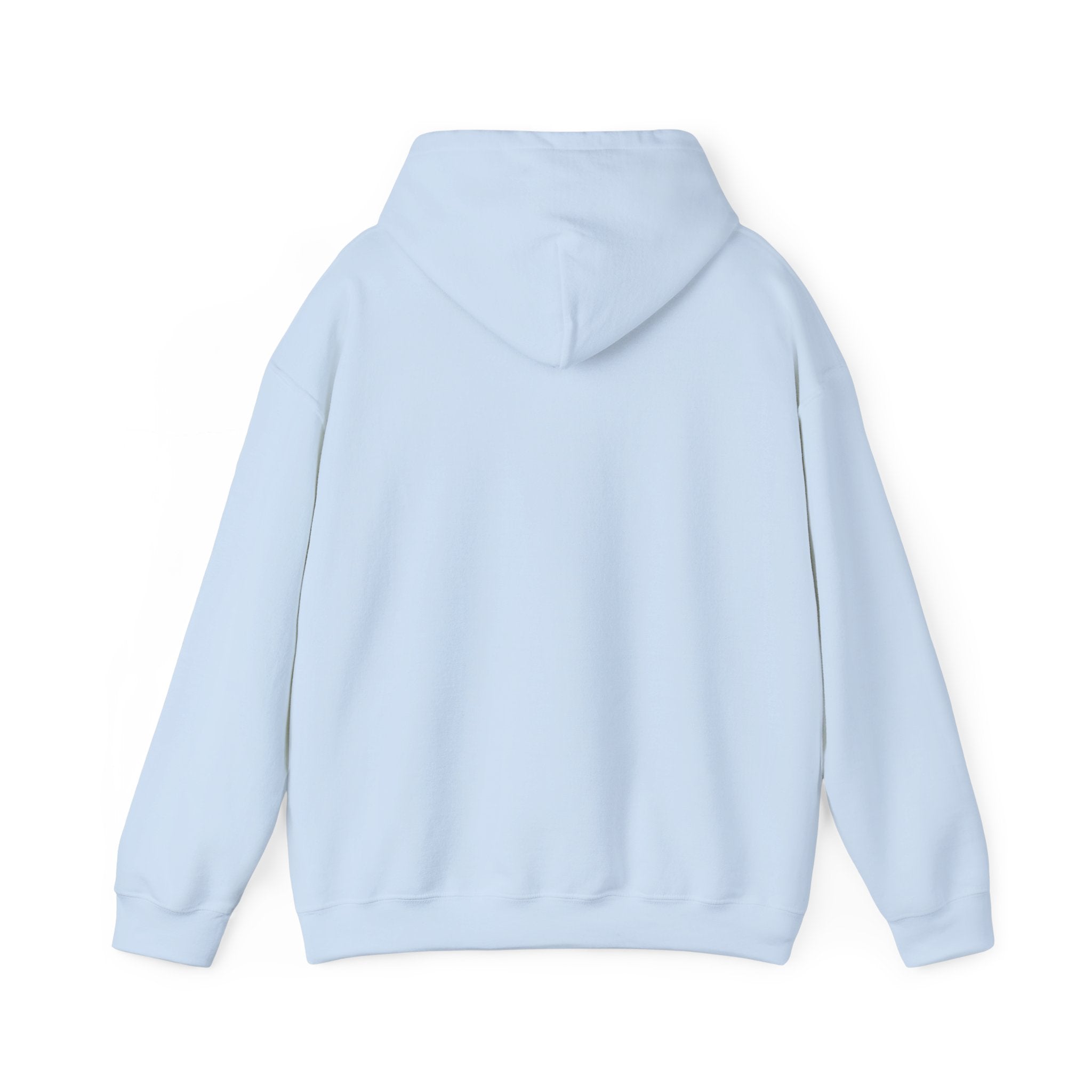 Unisex Heavy Blend Hooded Sweatshirt for custom embroidery