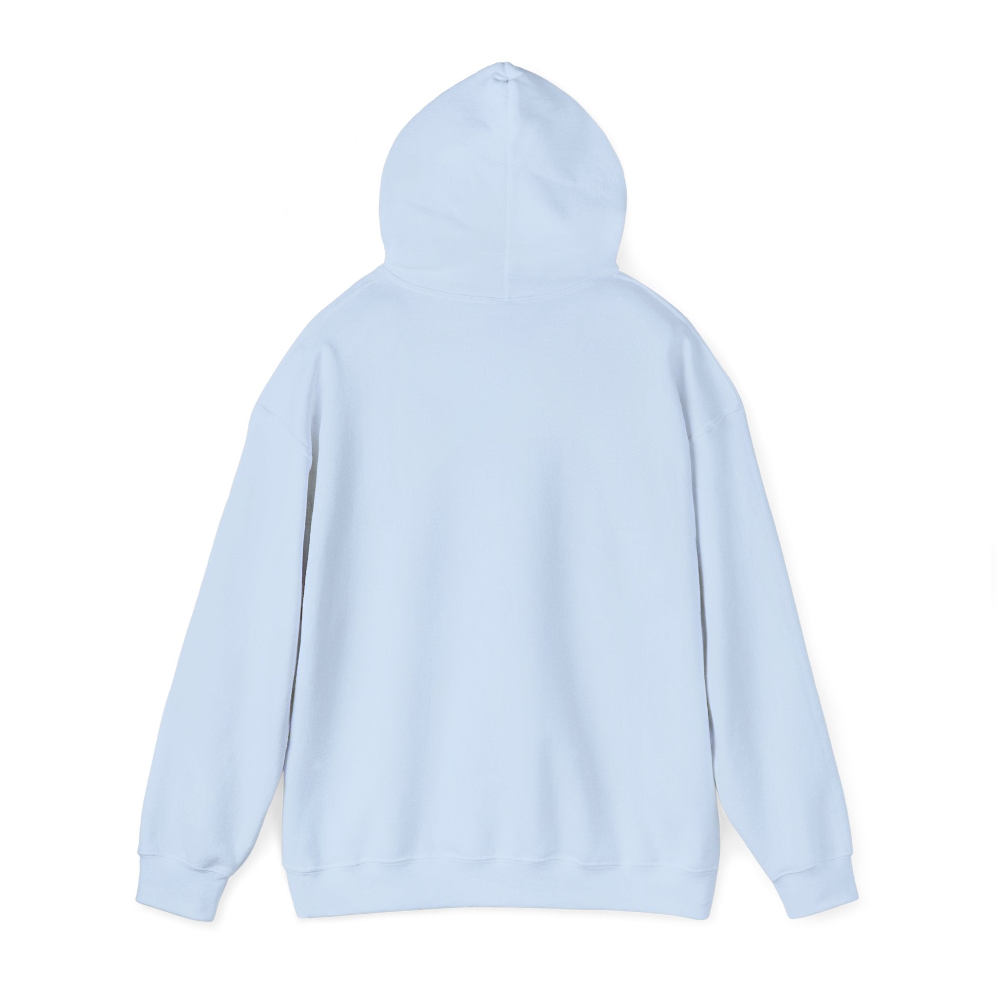 Unisex Heavy Blend Hooded Sweatshirt for custom embroidery