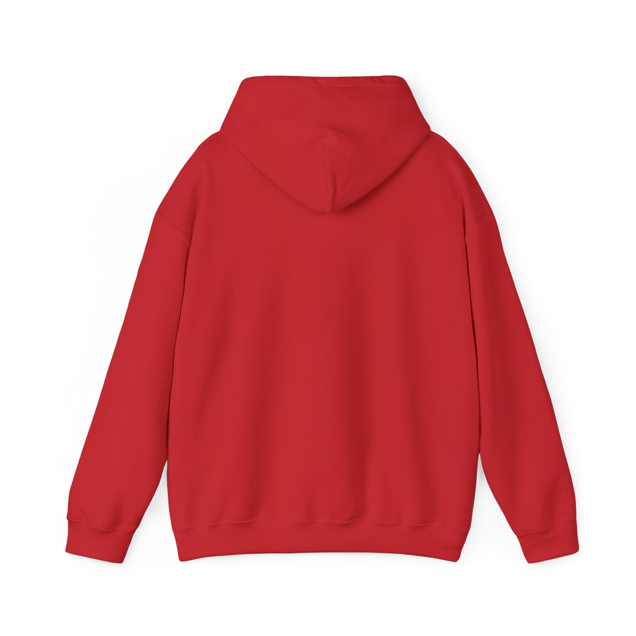 Unisex Heavy Blend Hooded Sweatshirt with pouch pocket and hood