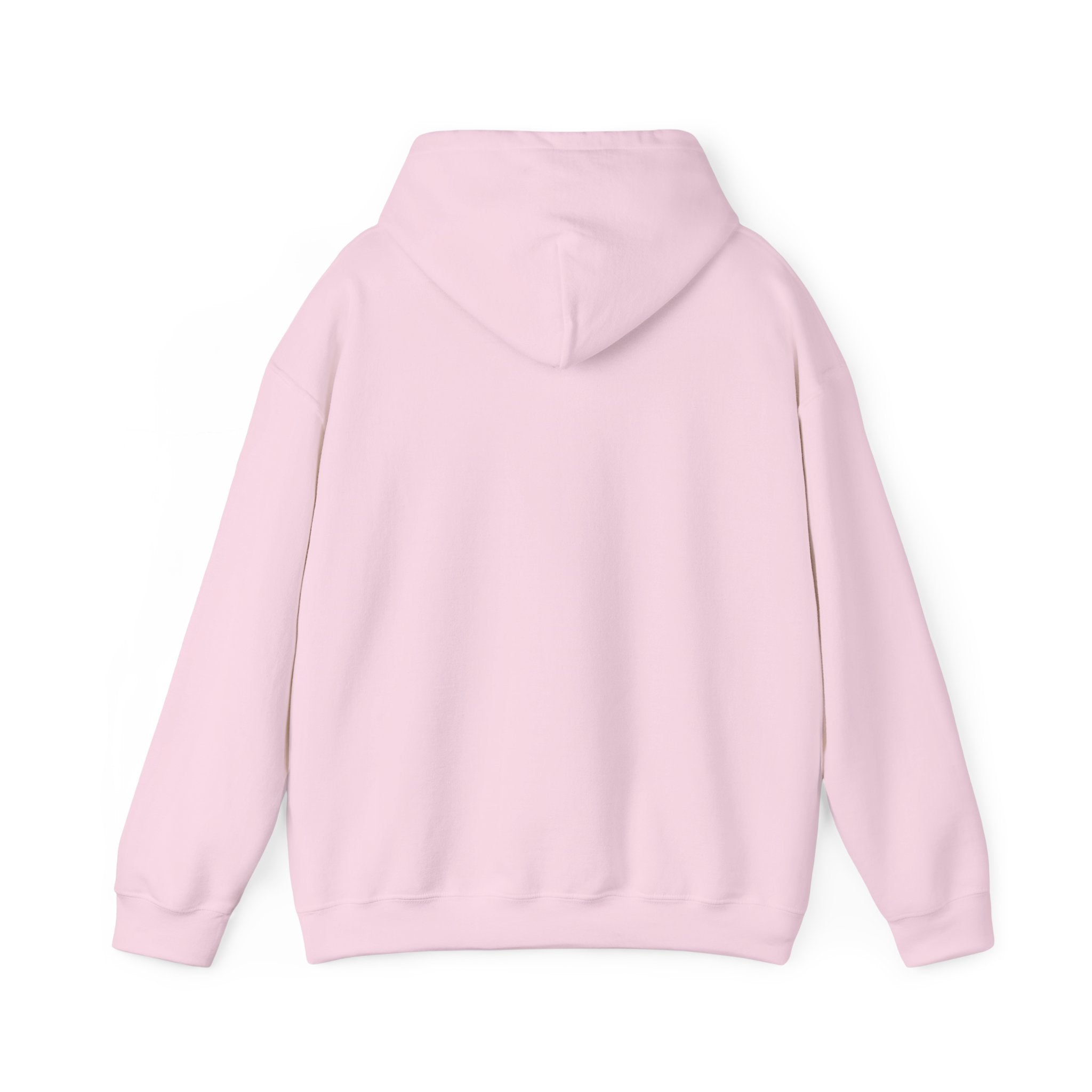 Unisex Heavy Blend Hooded Sweatshirt with pouch pocket and hood