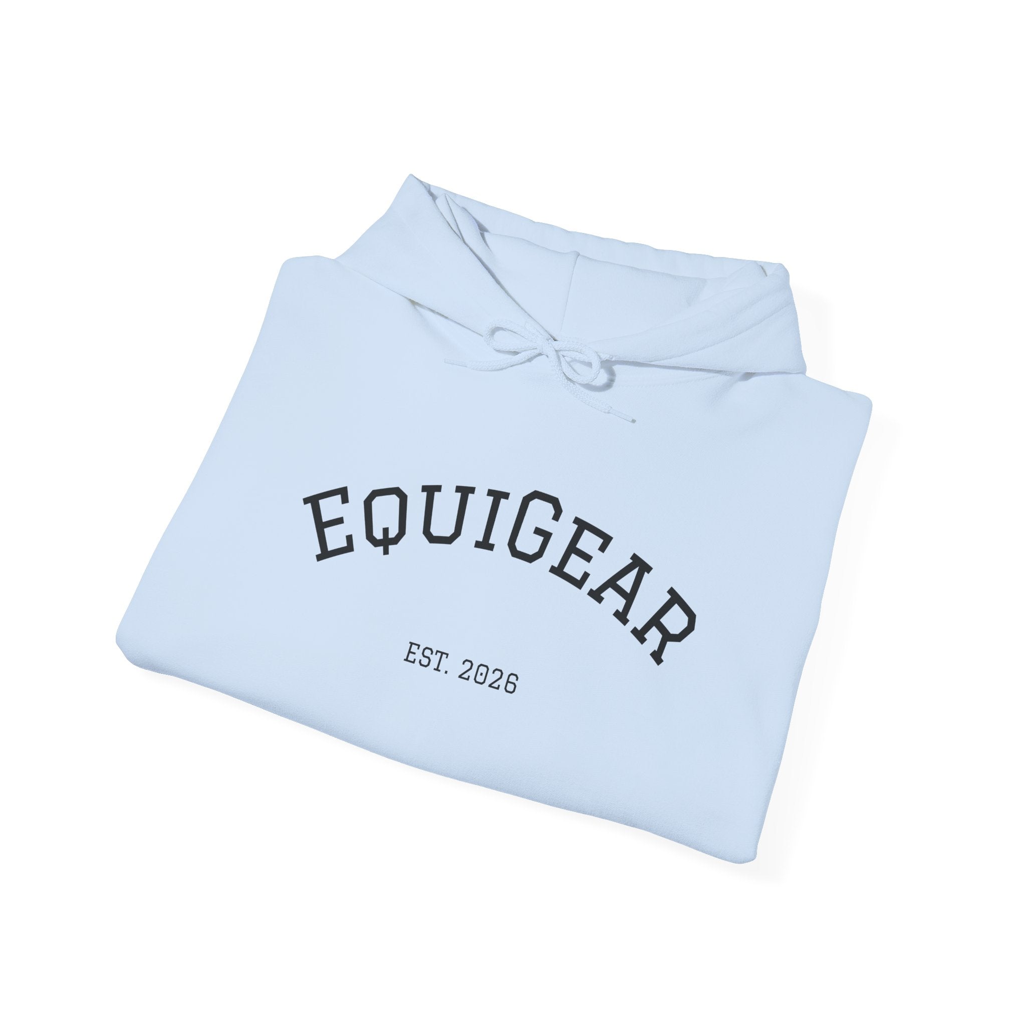 Unisex Heavy Blend Hooded Sweatshirt for custom embroidery