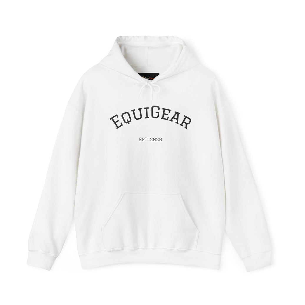 Unisex Heavy Blend Hooded Sweatshirt with pouch pocket and hood
