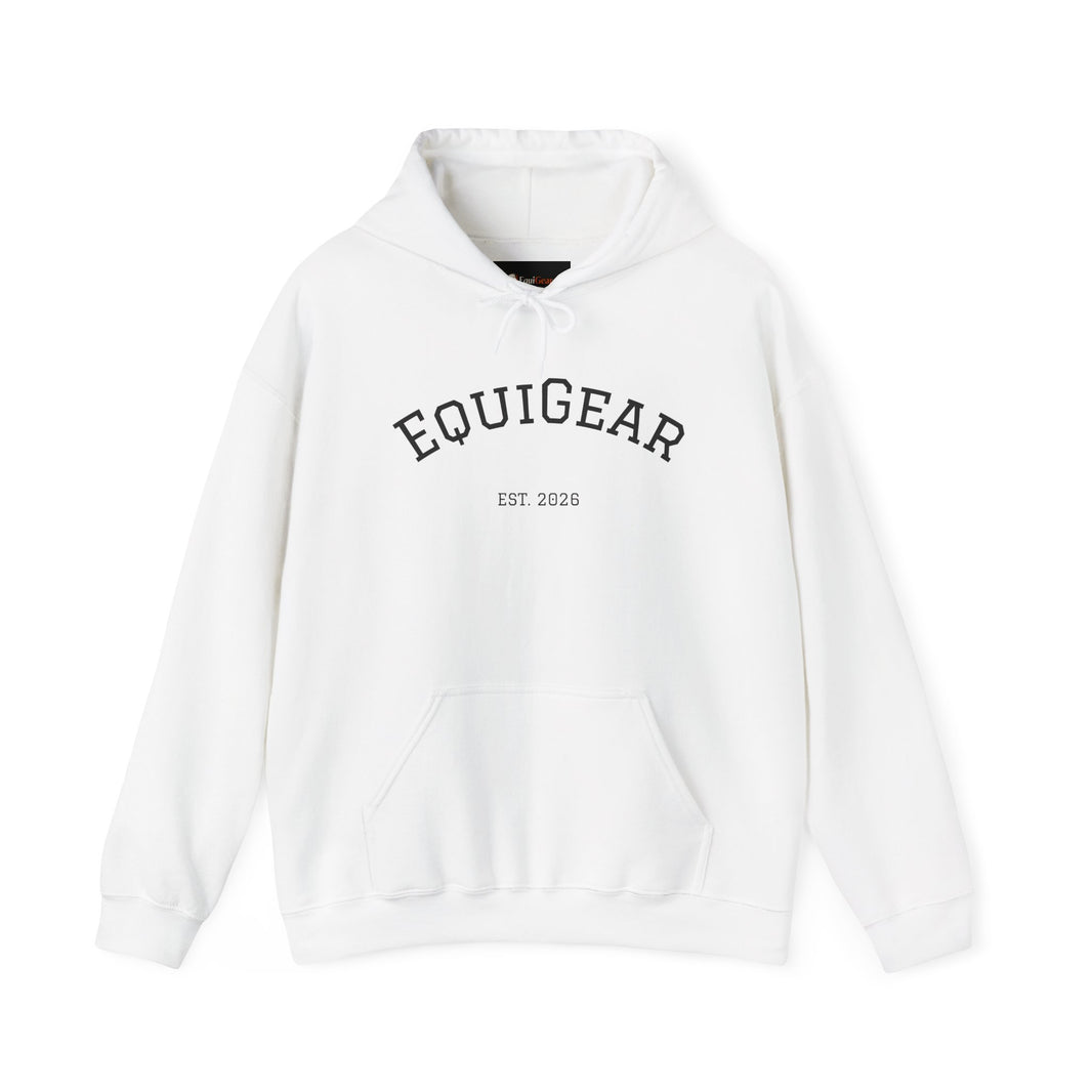 Unisex Heavy Blend Hooded Sweatshirt with pouch pocket and hood