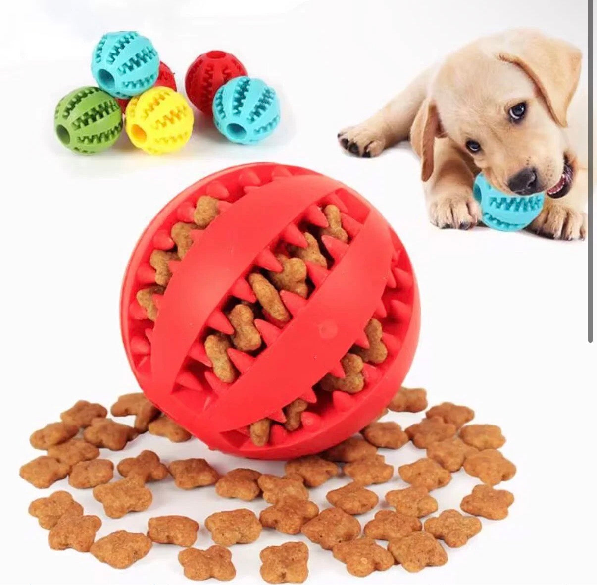Dog Ball Toy