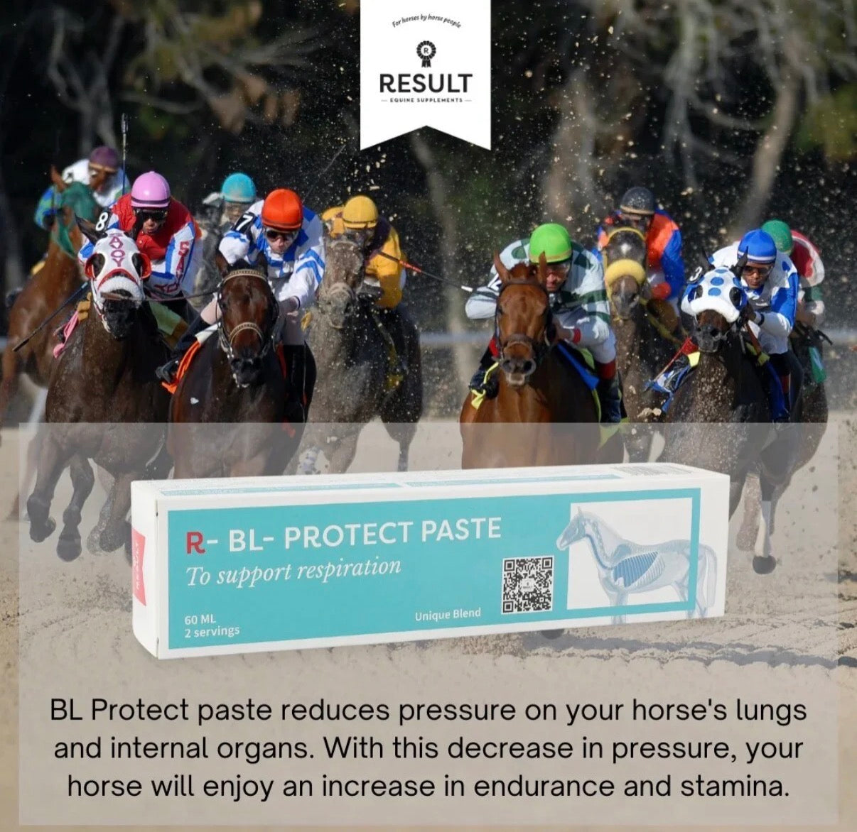 R-BL Protect Paste